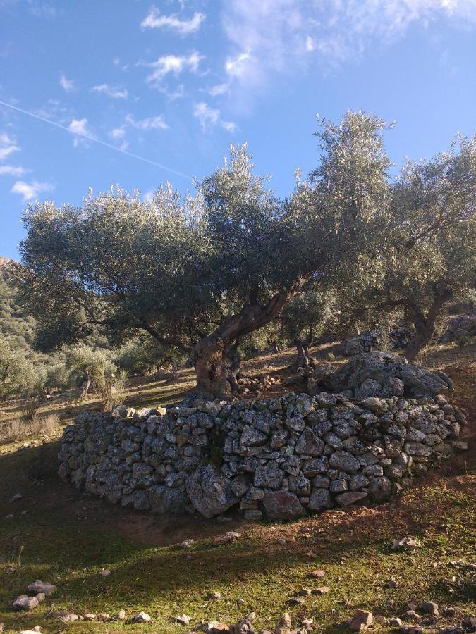 Casa Relojero Villa Zarza-Capilla Esterno foto